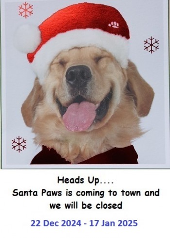 Santa_Paws_24-25.jpg